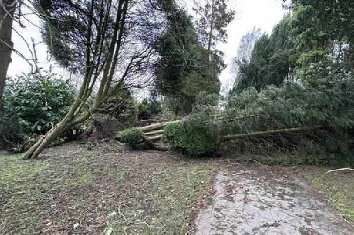 Live updates as hundreds without power in North Staffordshire today as Storm Darragh leaves its mark