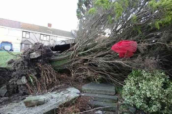 15 Storm Darragh flood warnings and alerts remain in place in Wales