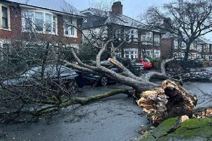 Tens of thousands still without power after Storm Darragh causes chaos in Wales