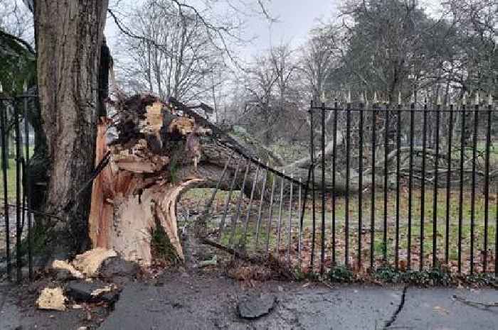 'We've run out of logs' Elderly couple left struggling amid two-day Storm Darragh power cut