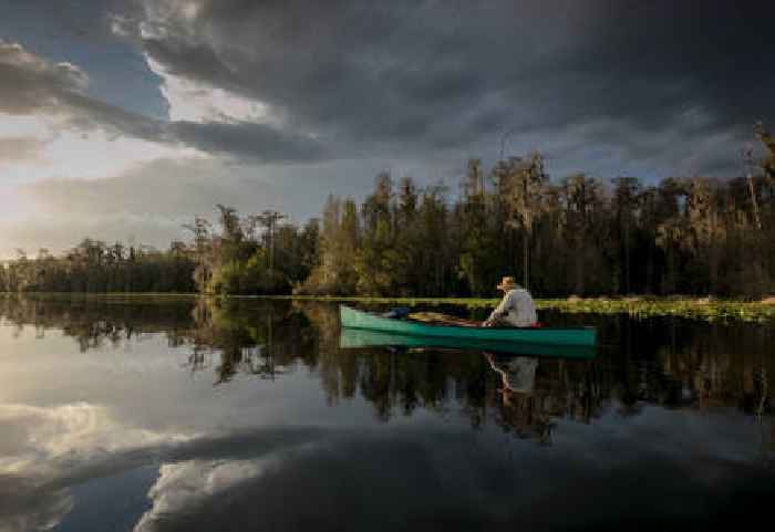 Live Wildly Explores the Okefenokee Swamp to Discover Natural Connections Between Wildlife, Places, and People