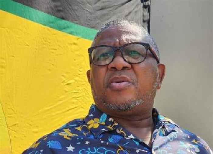 News24 | To reinforce or disband? ANC defers verdict on 'decimated' KZN, Gauteng's fate to January