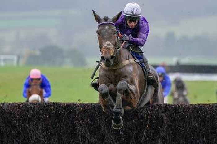 Fugitif can escape with December’s Gold Cup