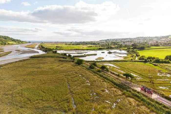 Seaton wetlands project wins funding to clean River Axe and boost homes