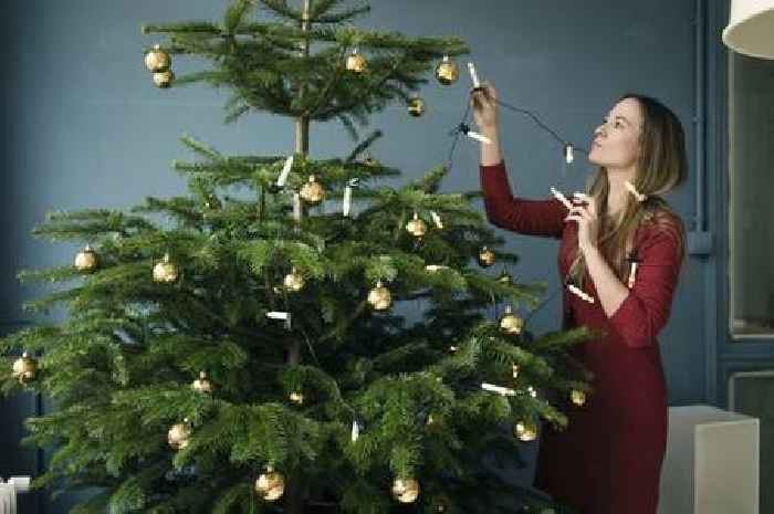 Genius real Christmas tree decorating hack will spare your hands from injury