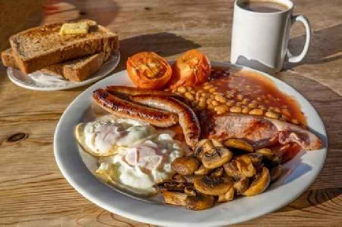 Nutritionist says breakfast item is 'very good' for cholesterol - and it's not toast