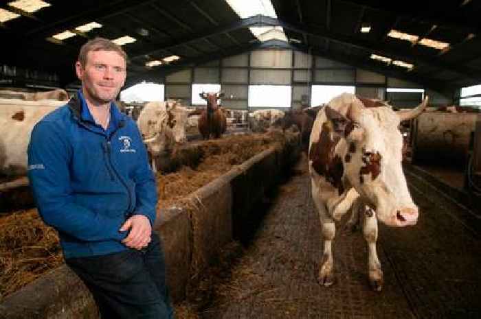 Ayrshire dairy farm says it's 'time for change' over how food is produced after controversial Bovaer approval