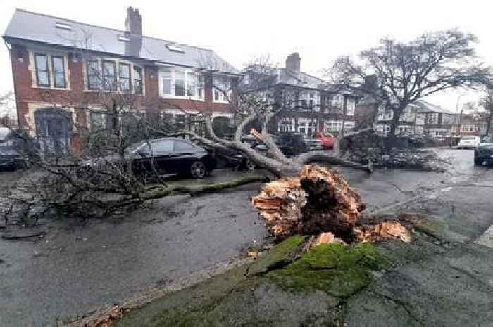 How to claim up to £2000 in compensation for power cuts during Storm Darragh