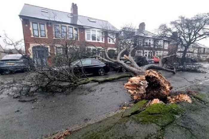 Thousands are still without power in Wales after Storm Darragh