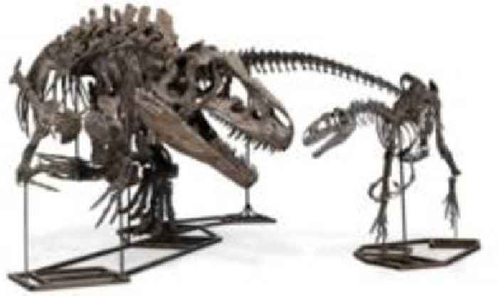 Rare dinosaur trio fetches £12.4m at auction