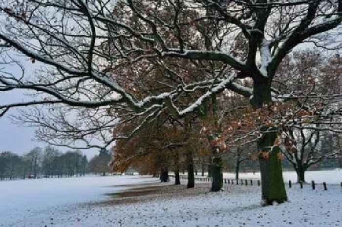 Met Office issues verdict on white Christmas and says 'very likely'