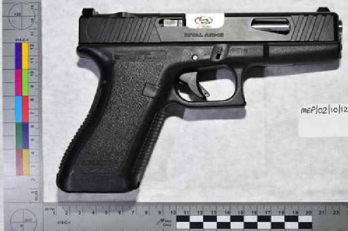 Firearms seized from suspected 'gun factory' in village house raid