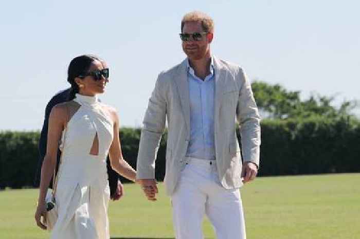 Prince Harry and Meghan Markle's Netflix polo documentary criticised as 'elitist'