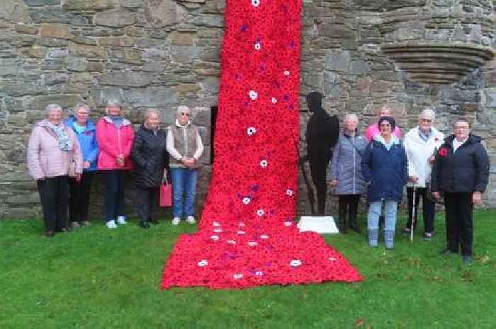 Team behind stunning Kirkcudbright poppy remembrance display named citizens of the year