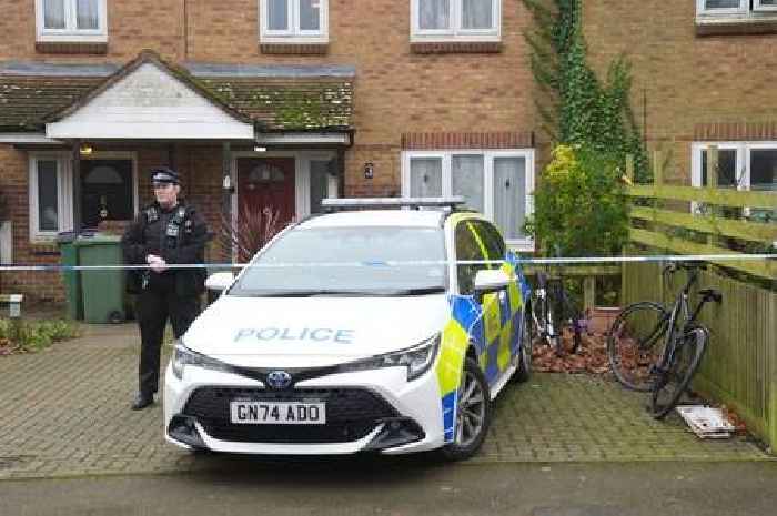 Two arrested after baby girl attacked by bully type dog