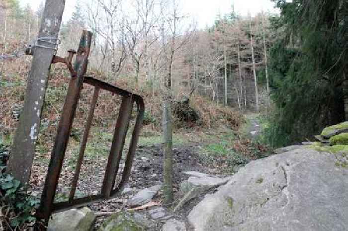 Visitors warned as Storm Darragh causes huge damage to popular walking trails