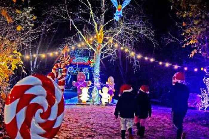 'Guaranteed snow' as festive Conkers fun set to continue after Christmas Day