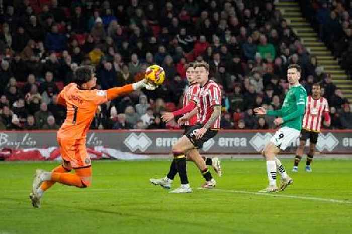 Plymouth Argyle beaten by Sheffield United despite improved display