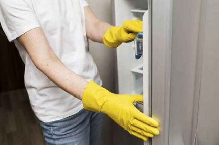 How to clean your fridge using 1 natural item to get rid of smells in minutes