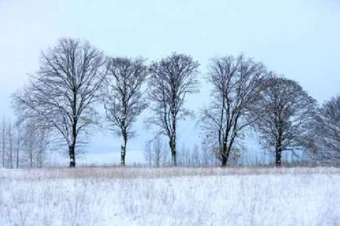 UK faces '30 hours of non-stop snow' with exact time flurries start and end announced