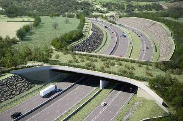 Huge crossing over new A417 dual-carriageway will be 37m wide and largest in country