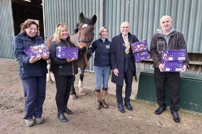 The Cheltenham Christmas gift that keeps on giving: Five years of selection box specials