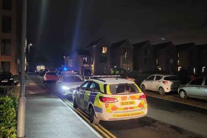 Young boy dies at South Ockendon housing estate as woman arrested on suspicion of murder