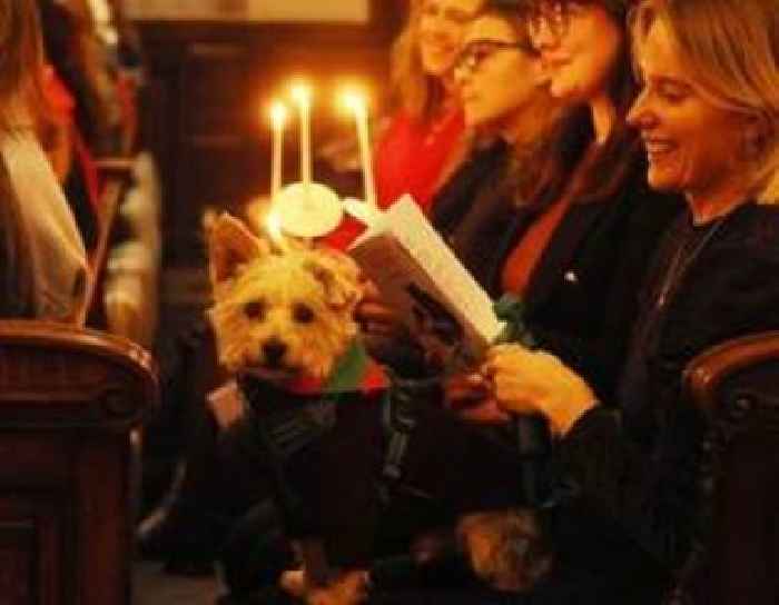  'Carols for the Animals' Thanks Supporters whilst Raising Funds for International Animal Rescue