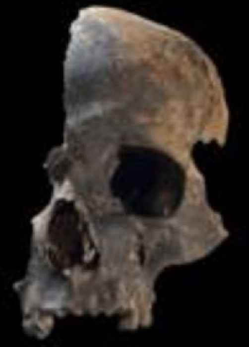 Bronze Age massacre victims likely cannibalised