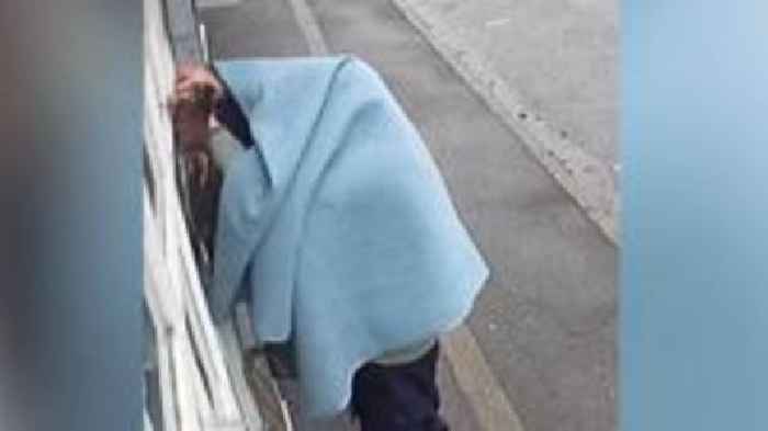 Man in blanket at centre of shop pheasant mystery