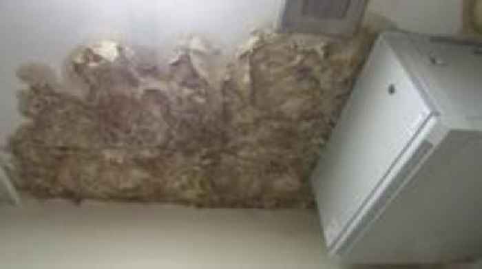 Prison has mould and 'mushrooms' growing on walls