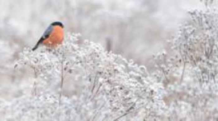 Your pictures of Scotland: 6-13 December