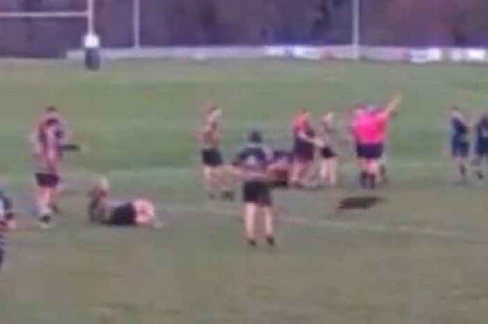 Watch the moment a deer rushes onto rugby pitch - and tackles player