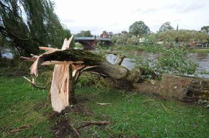 Dumfries and Galloway to be hit by 60mph winds as Met Office issues yellow weather warning