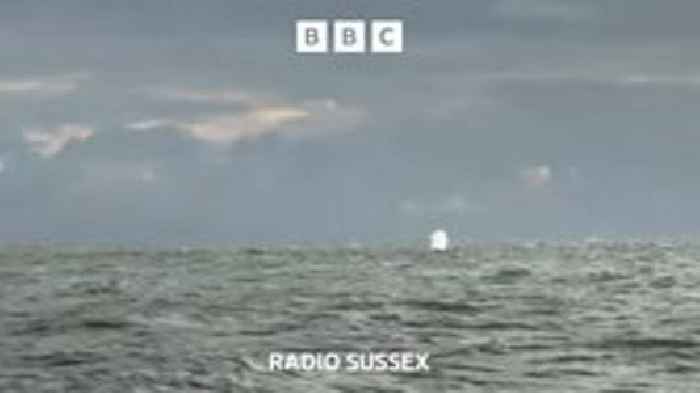 Lurking in the water off Beachy Head