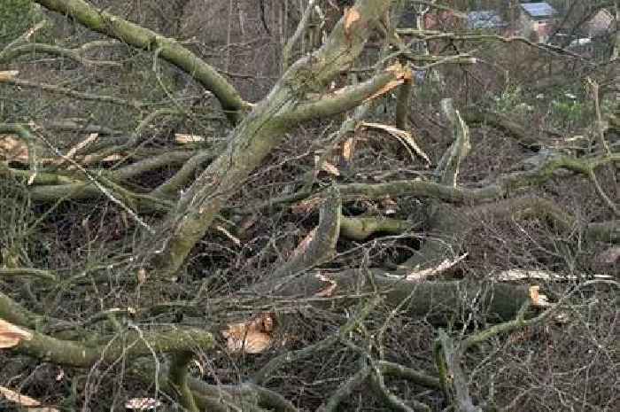 Council shuts North Staffordshire cemetery on safety grounds