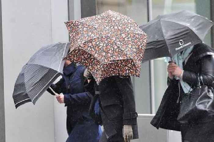 Gale force winds set to cause pre-Christmas chaos in Dumfries and Galloway as weather warning issued