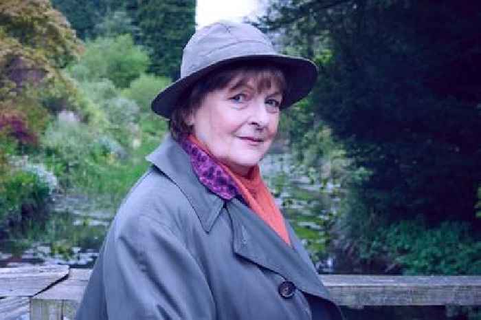 ITV Vera's Brenda Blethyn hints at a 'clash' with David Leon in the final series amid death fears