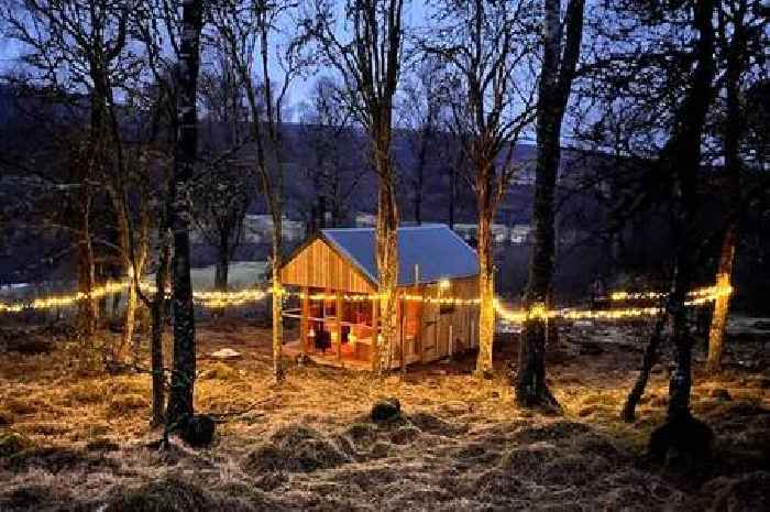 The Scottish 'piece of heaven' cabin you can book for last minute Christmas getaway