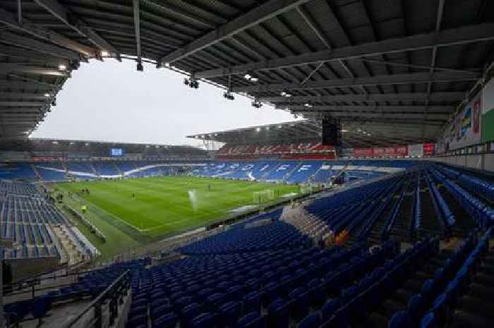 Cardiff City fan attacks Swansea City supporter for celebrating winning goal