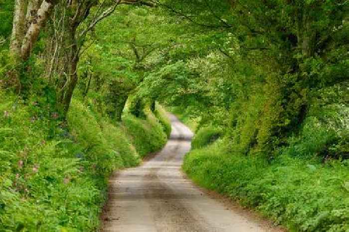 Single carriageway speed limit in UK could be changed in 2025 under new plans
