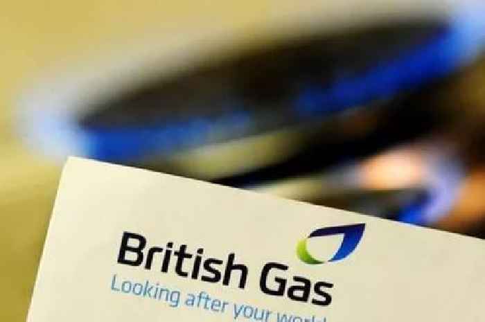 British Gas, OVO, EDF, EON, Octopus customers warned they'll lose £1,762 each