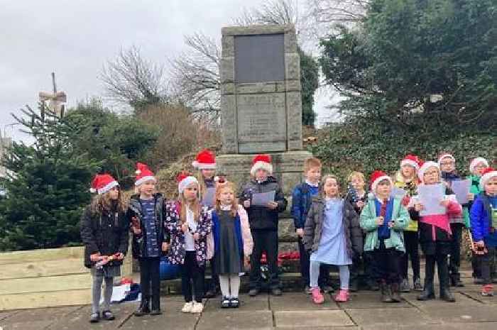 Falkirk villagers buy their own Christmas tree and lights after council cuts