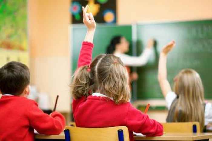 New high for literacy and numeracy levels in South Lanarkshire primary schools