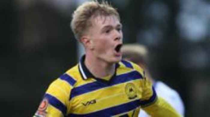 Torquay boss Wotton hails Argyle loanee Jenkins Davies