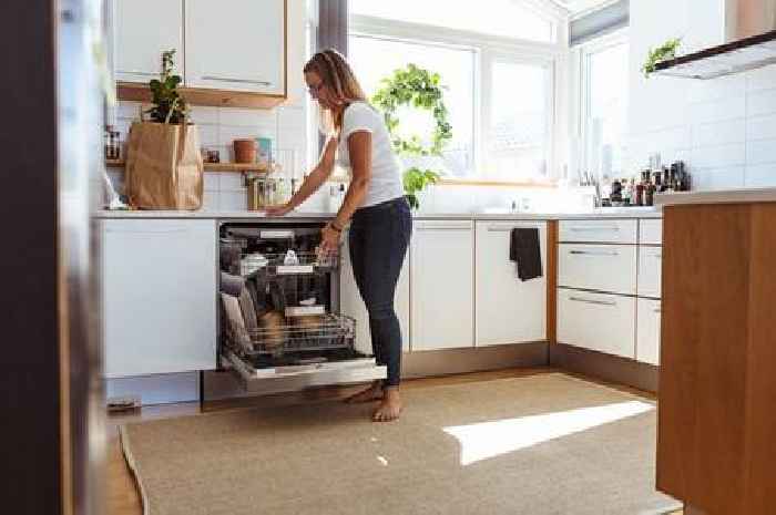 Common kitchen appliance that is a 'bacteria haven' and how to clean it properly