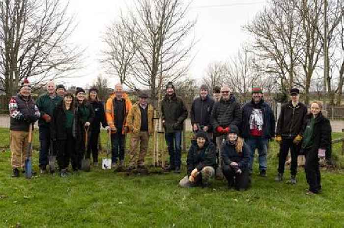 Humber Forest plant hundreds of trees at Driffield Showground