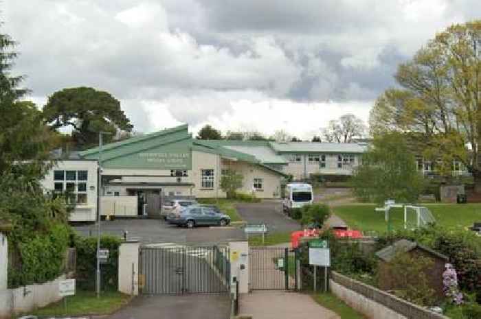 Torquay primary school 'staff party' prompts internal investigation