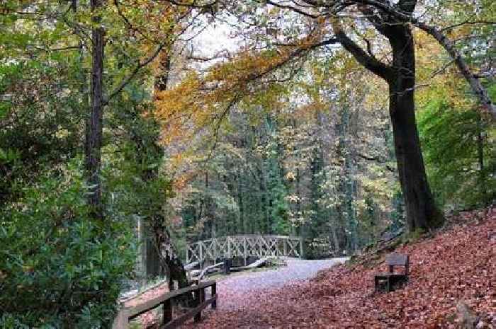 Cash-strapped council to crack down on non-payers in Neath Port Talbot's country parks