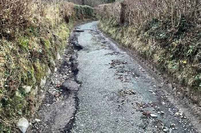 Potholes are so big they are being called 'elephant traps' in a 'forgotten valley'